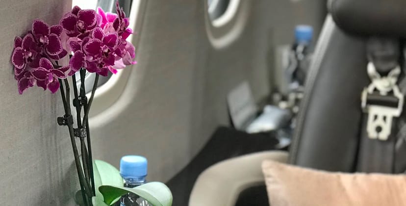 Flowers service - FBO Paris Le Bourget