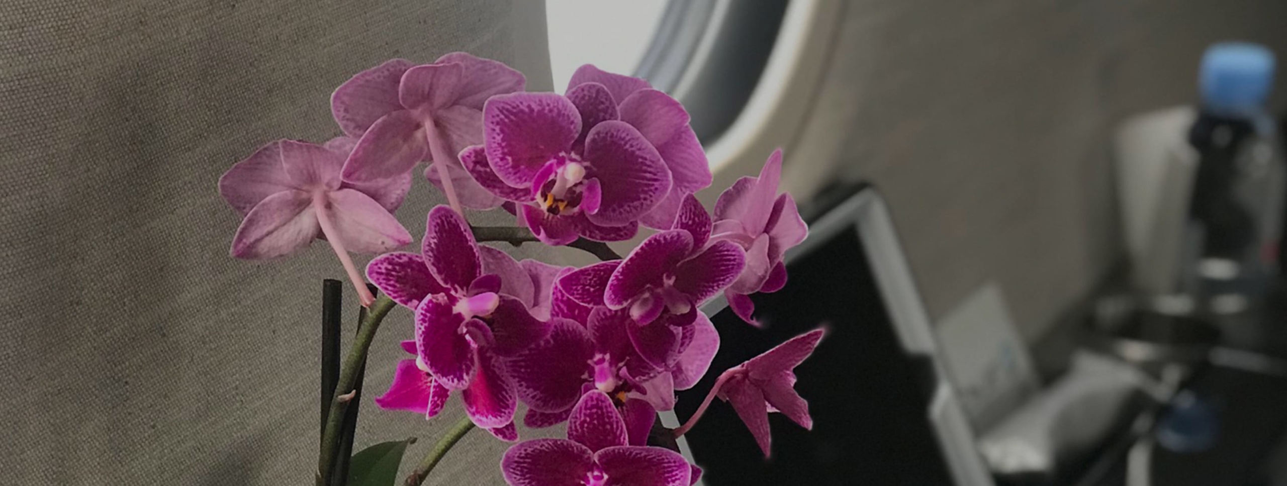 Service floral - FBO Paris Le Bourget